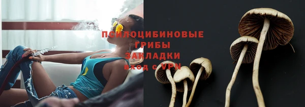 марихуана Абаза