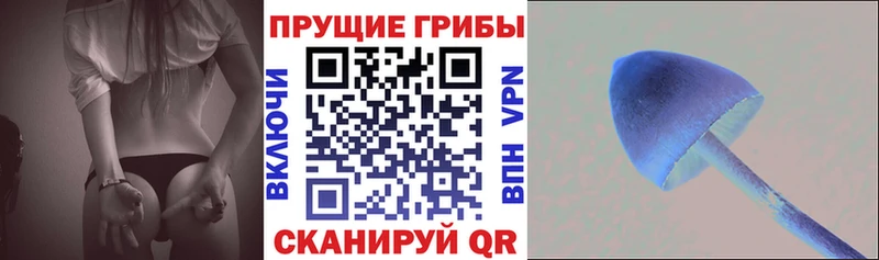 Галлюциногенные грибы MAGIC MUSHROOMS  купить закладку  Никольское 